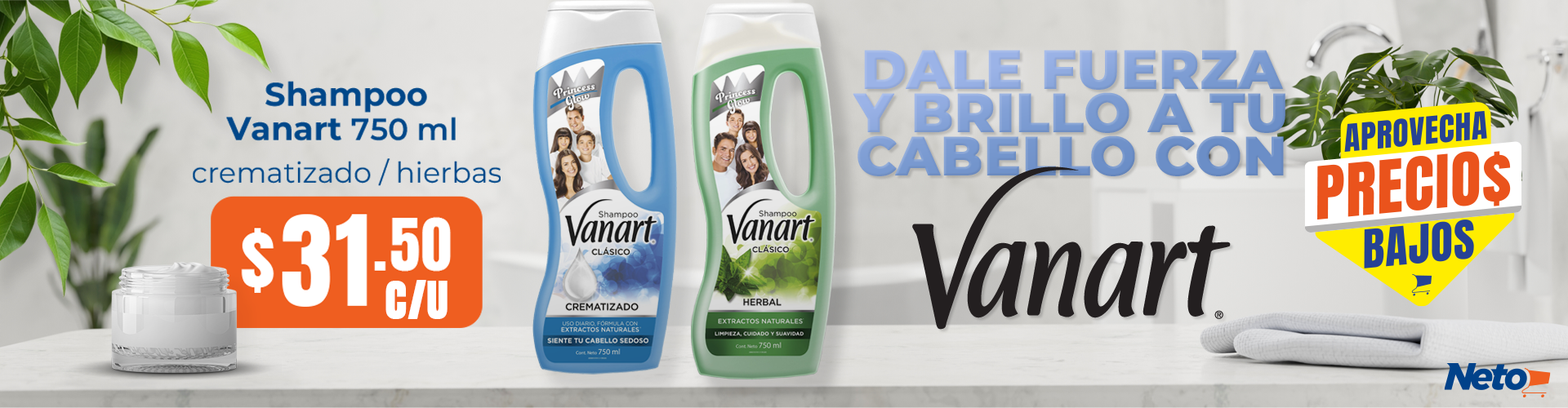 Shampoo